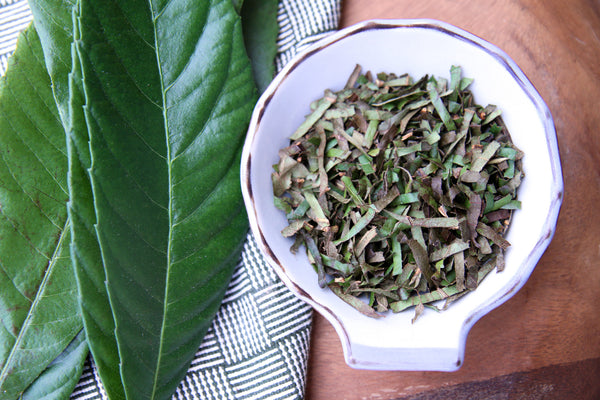 Moloa a Bay Biwa Cha Loquat Leaf Tea