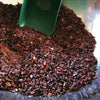 Moloaʻa Bay Chocolate - Roasted Cacao Nibs