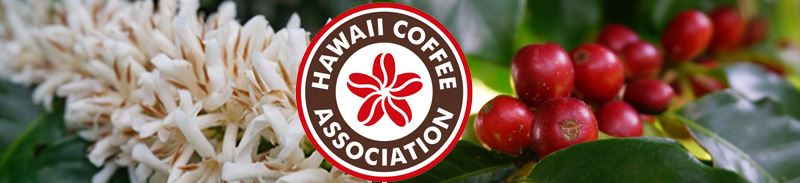 Moloa'a Bay Coffee Named a Kaua'i District Winner at HCA's 11th Annual Cupping Competition